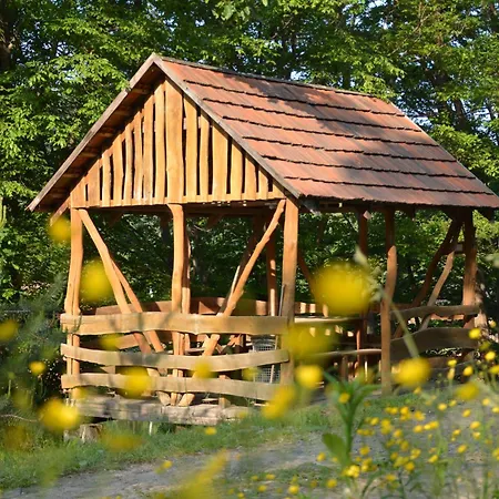 дім гармонії Holiday home Shyroke (Zakarpattia)